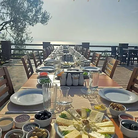Kazdaglari Zeytunihan Butik